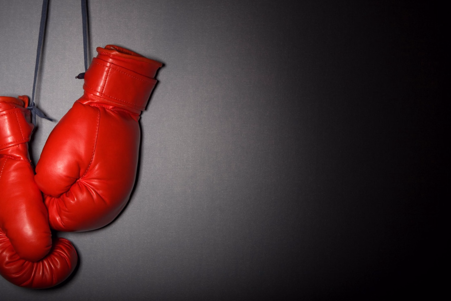 How to prepare for an advocacy fight