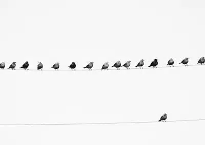 The changing face of advocacy