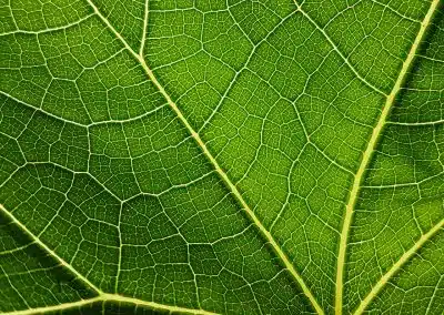 Believe in advancing ESG? Prove it.