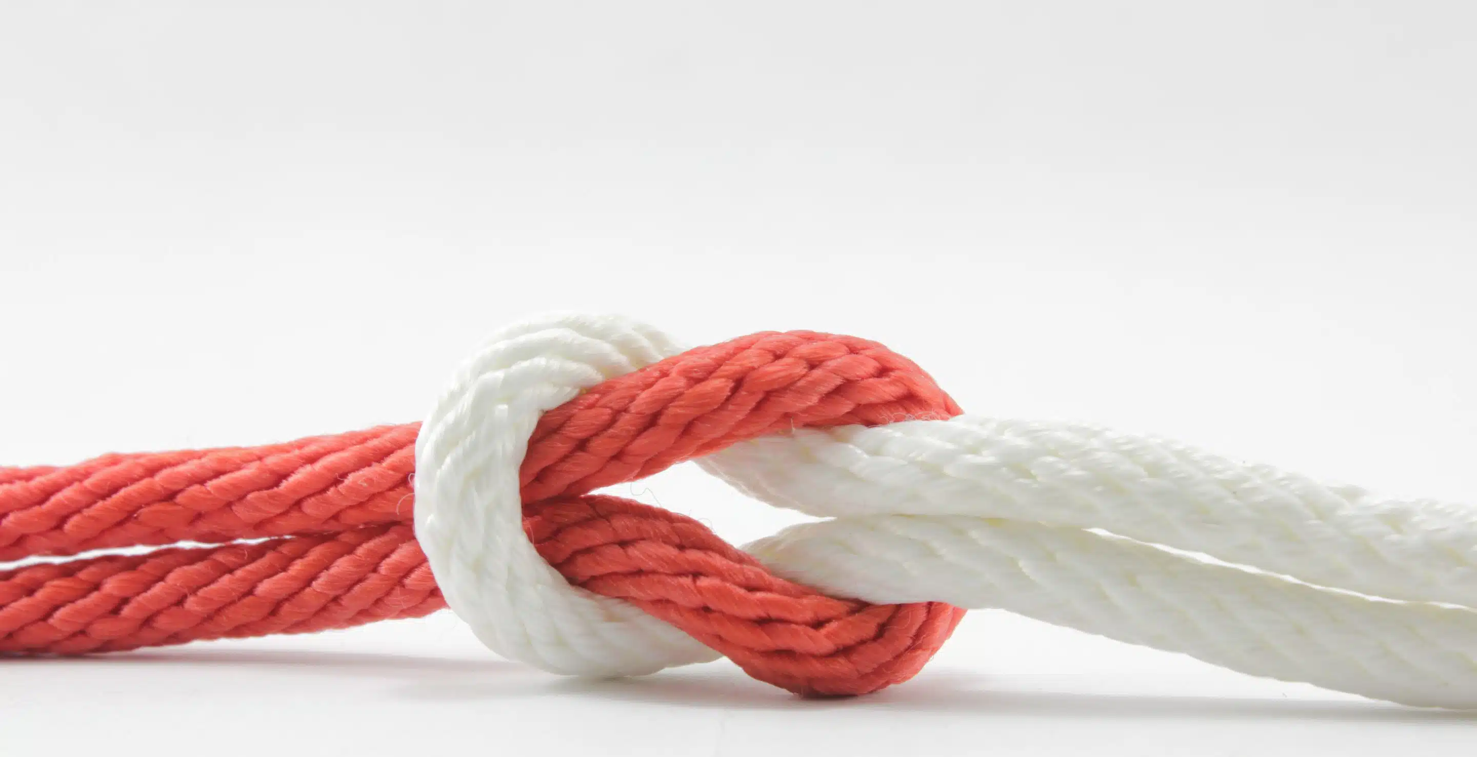 Close-Up Of Rope Tied Over White Background A close-up of a red rope and a white rope tied together in a tight, clean knot against a plain white background.