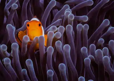 Build relationships, not transactions