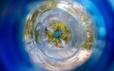 Plastics, chemical industries miles ahead in new circular economy