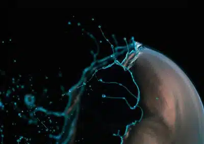 There are no new audiences in an echo chamber